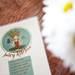 A menu on a table with flowers at Juicy Kitchen. Daniel Brenner I AnnArbor.com